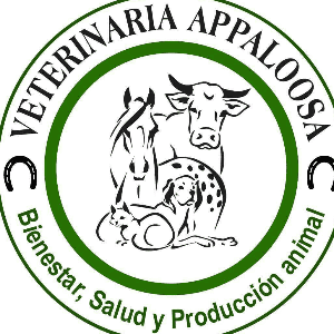 VETERINARIA APPALOOSA-SOGAMOSO-Boyacá