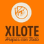 Logo mapa de contacto para XILOTE